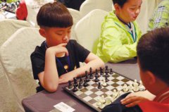  500余小棋手在棋盘上来一场说走就走的旅行