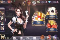 棋类游戏定制公司的发展不再单一