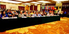 国际跳棋世界杯分站赛结束 中国收获男女