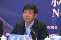 扁康杯首轮古力VS李昌镐 徐孝锡:棋手的幸