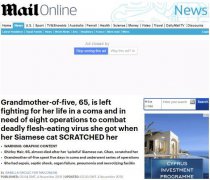 被猫抓伤险丧命 关注英国65岁奶奶自家撸猫换来