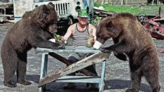 战斗民族熊成精 动物园棕熊竟学会向游客