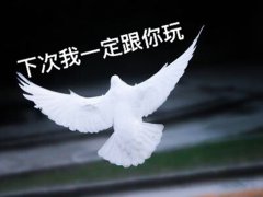 明年神仙打架？2020年将发售这些游戏，最蠢游戏