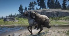 《荒野大镖客2》新增恶搞Mod：熊还可以骑马