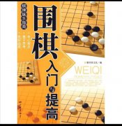 自学怎么才能成为一名围棋高手