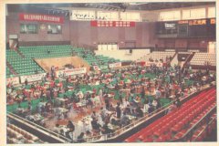 珍贵的回忆：记1987年全运会国际象棋团体