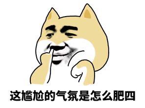 为什么职业赛场上难见到女职业选手?