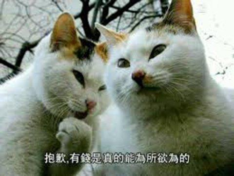 Steam玩家要哭了?G胖一个新政策,换区买便宜游戏更困难了