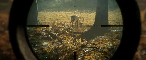 《猎人：荒野的召唤》评测：极致沉浸，集观景与狩猎于一身的佳作