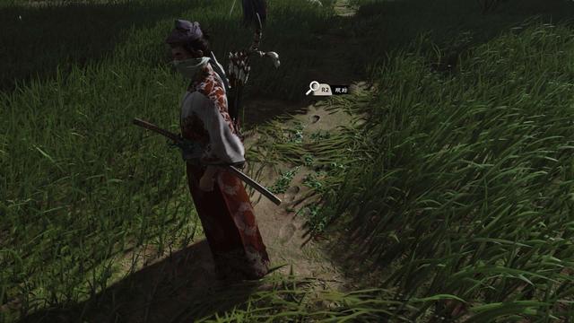 《对马岛之鬼》3DM评测8.5:西方人眼中的东方“战鬼”