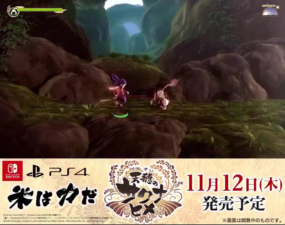 下一款NS理财游戏出炉!"神级动作游戏"将登陆NS