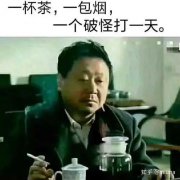 女玩家血泪控诉：玩《只狼》8个月都没通