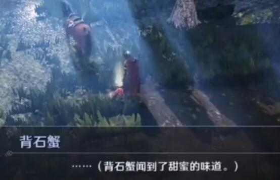 黑色沙漠手游图片8