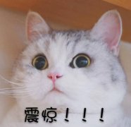 MV女主竟是绝对演绎18线艺人？